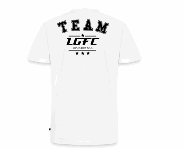 TEE SHIRT PREMIUM BLANC COL V TEAM LGFC